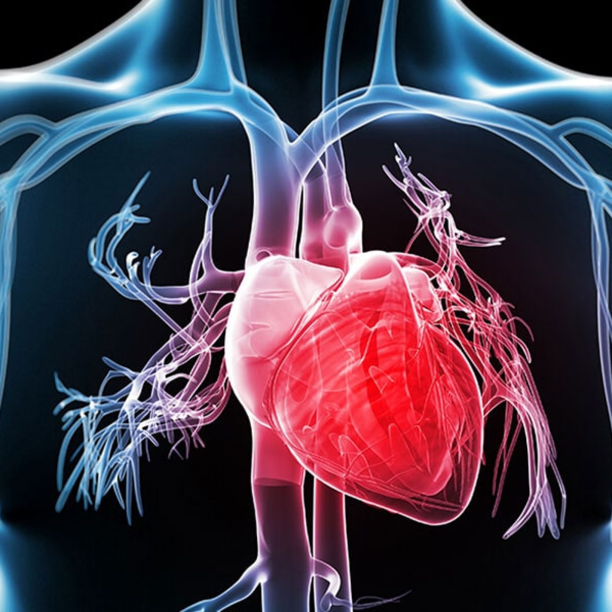 آنژیوگرافی-قلب-